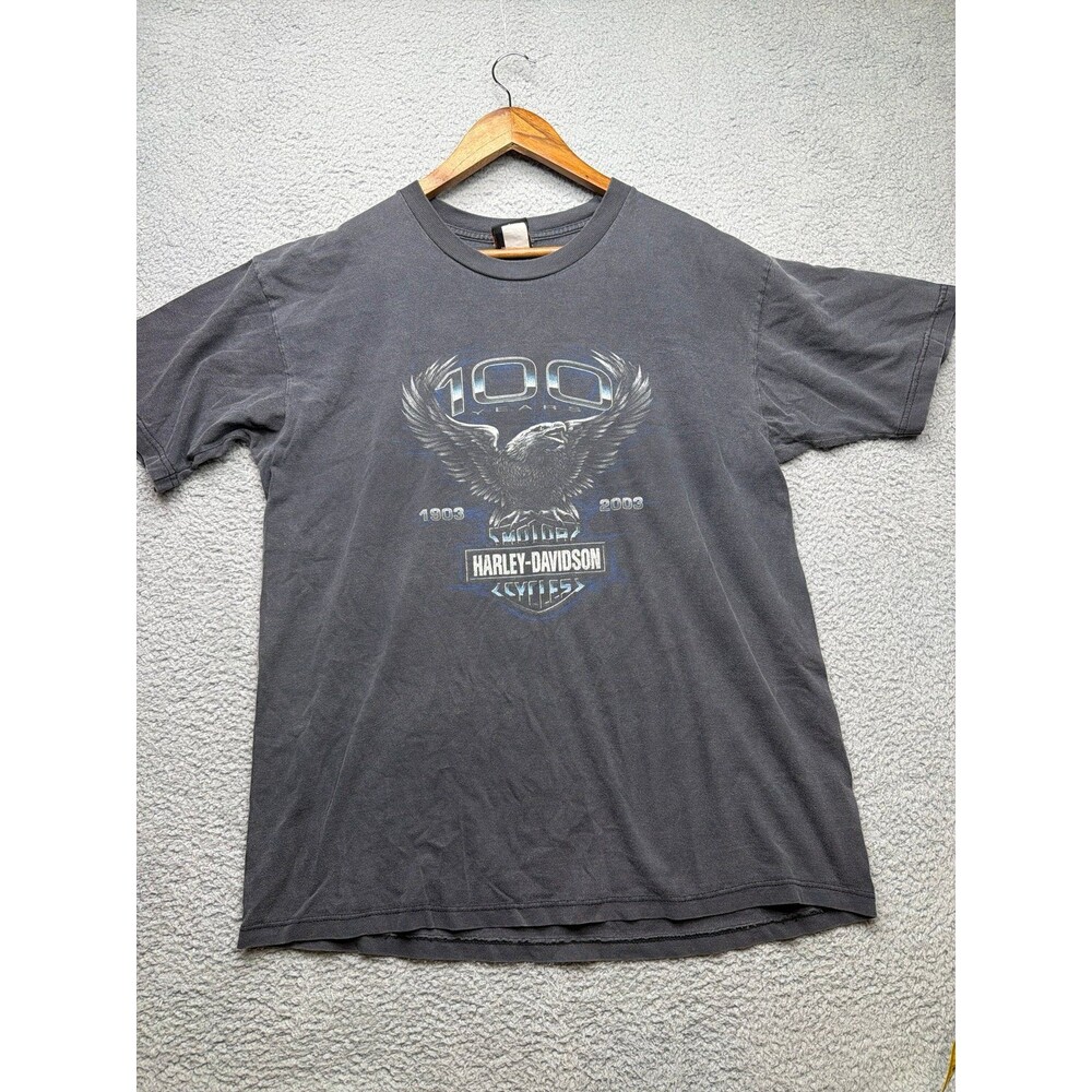 Harley Davidson vintage 2003 Maui Hawaii gray t shirt 100 years  sz xl